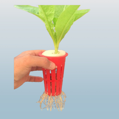 Net Cup hydroponic 10 cm image