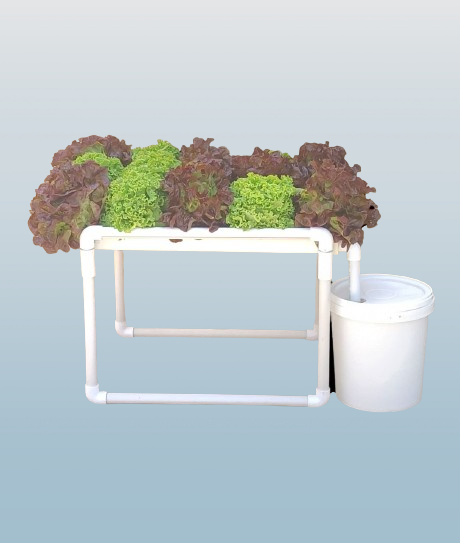 NFT System for hydroponics image